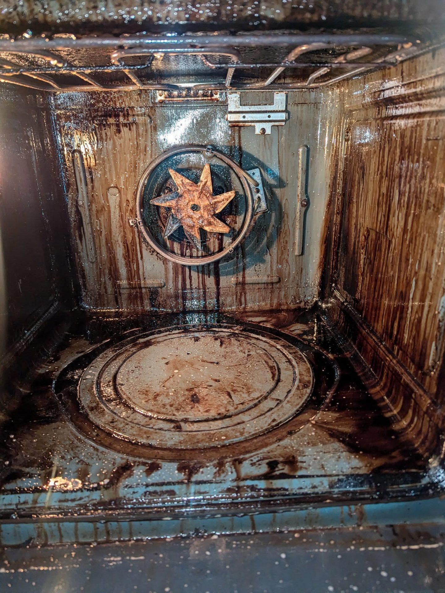 54365042077_11fa34cafb_k