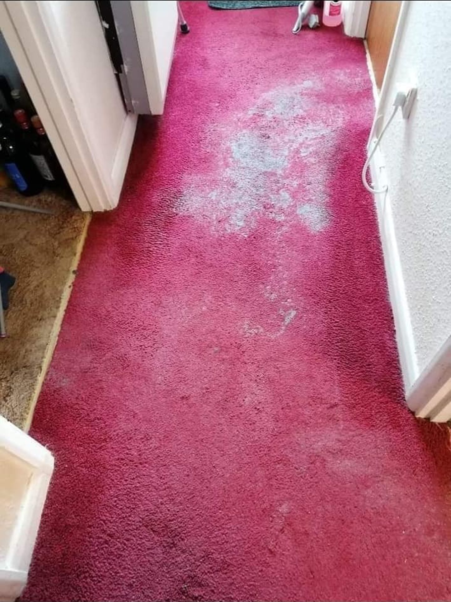 54365470562_5596897469_o