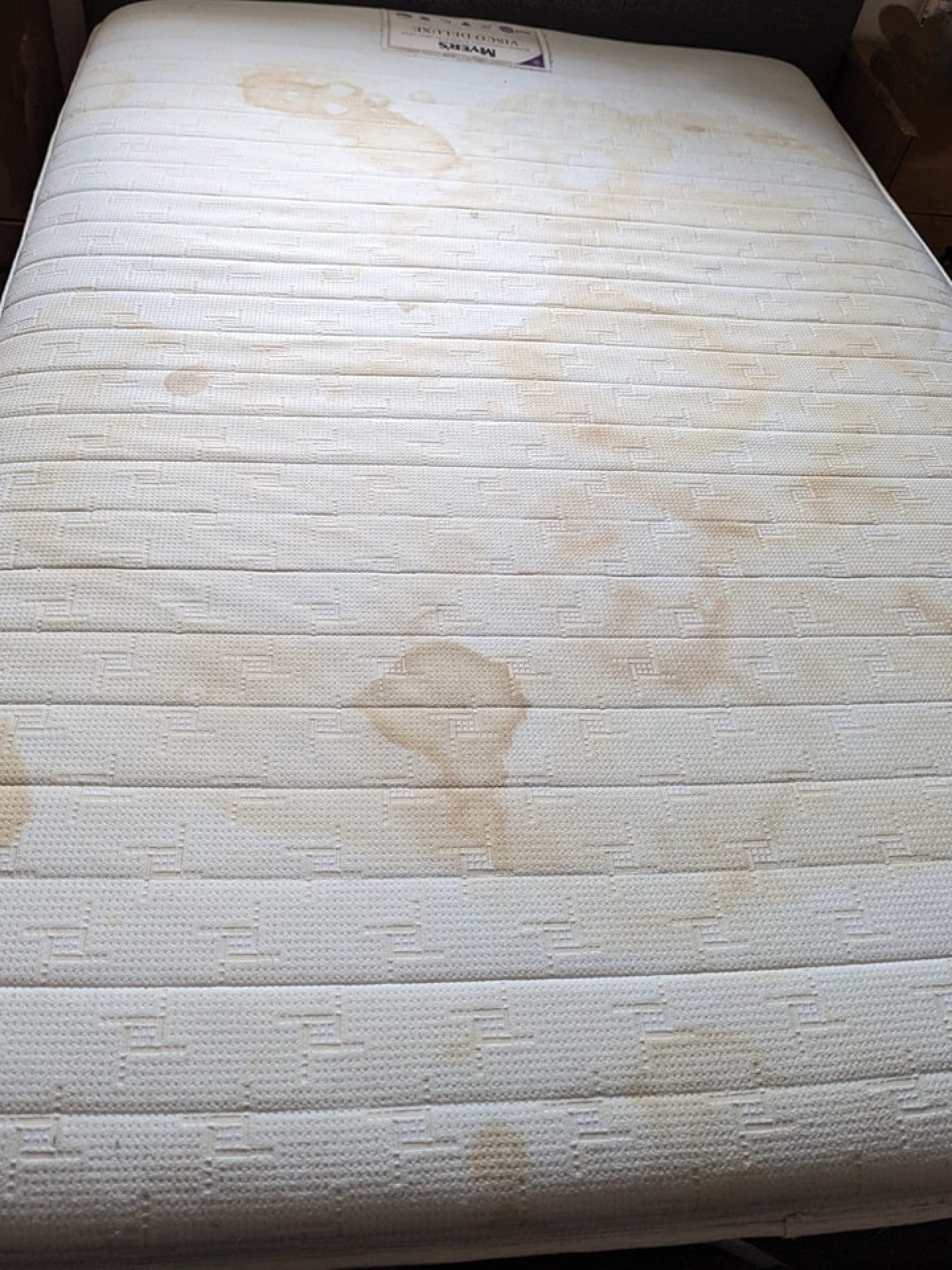 54366322266_e4a563135b_o