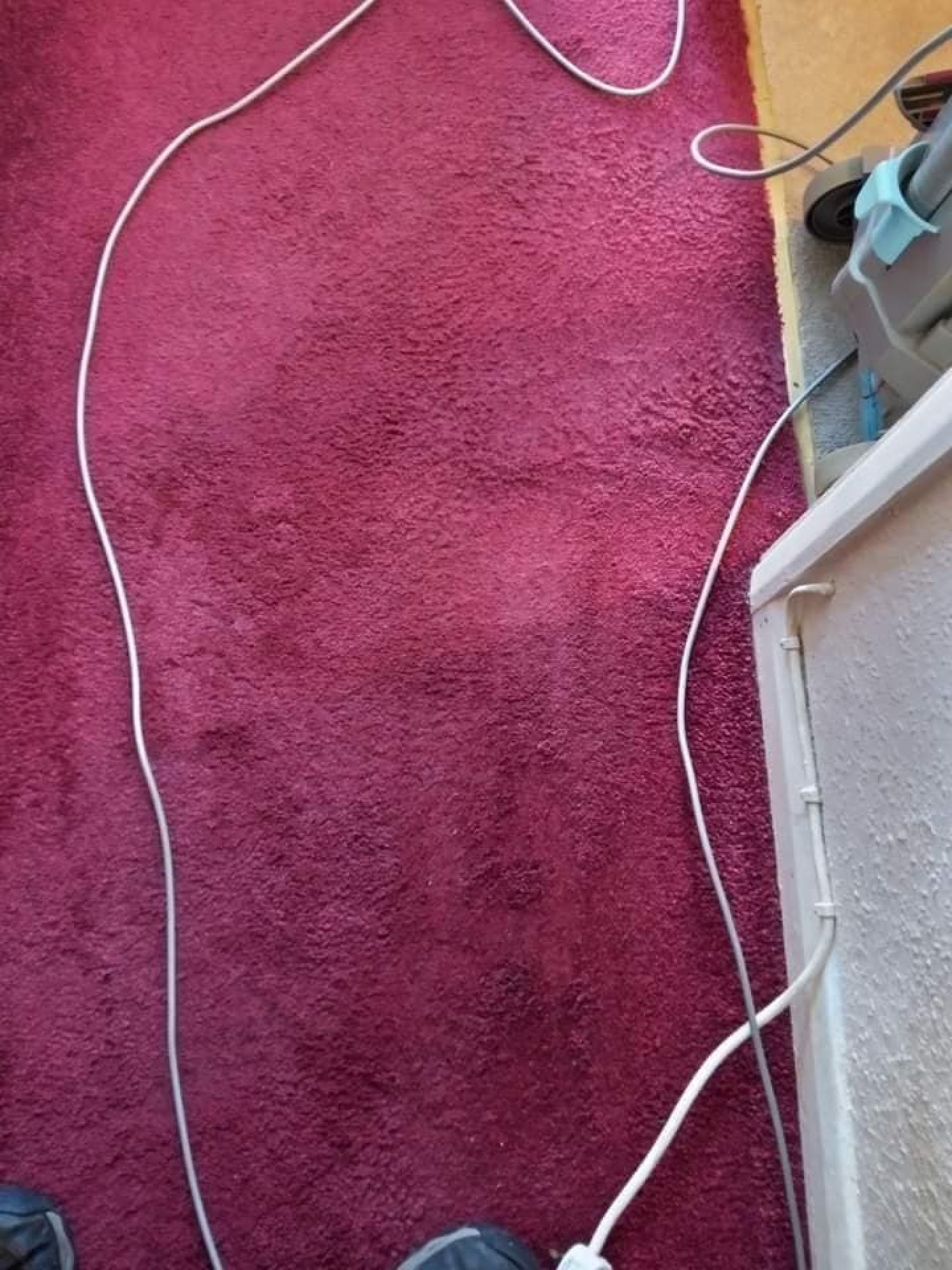 54366343666_d709d6038c_o