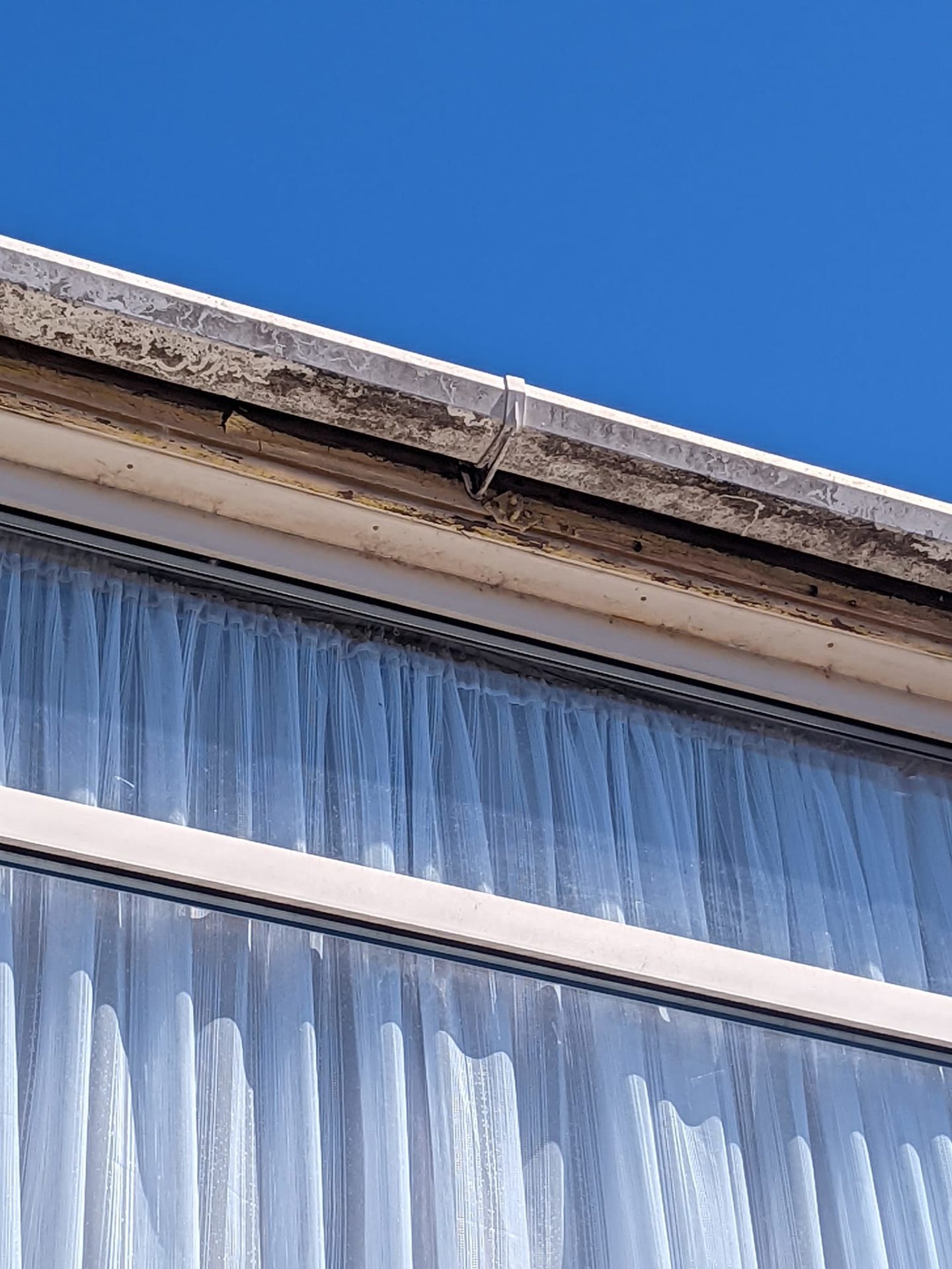 54366345996_aebc7f0468_k