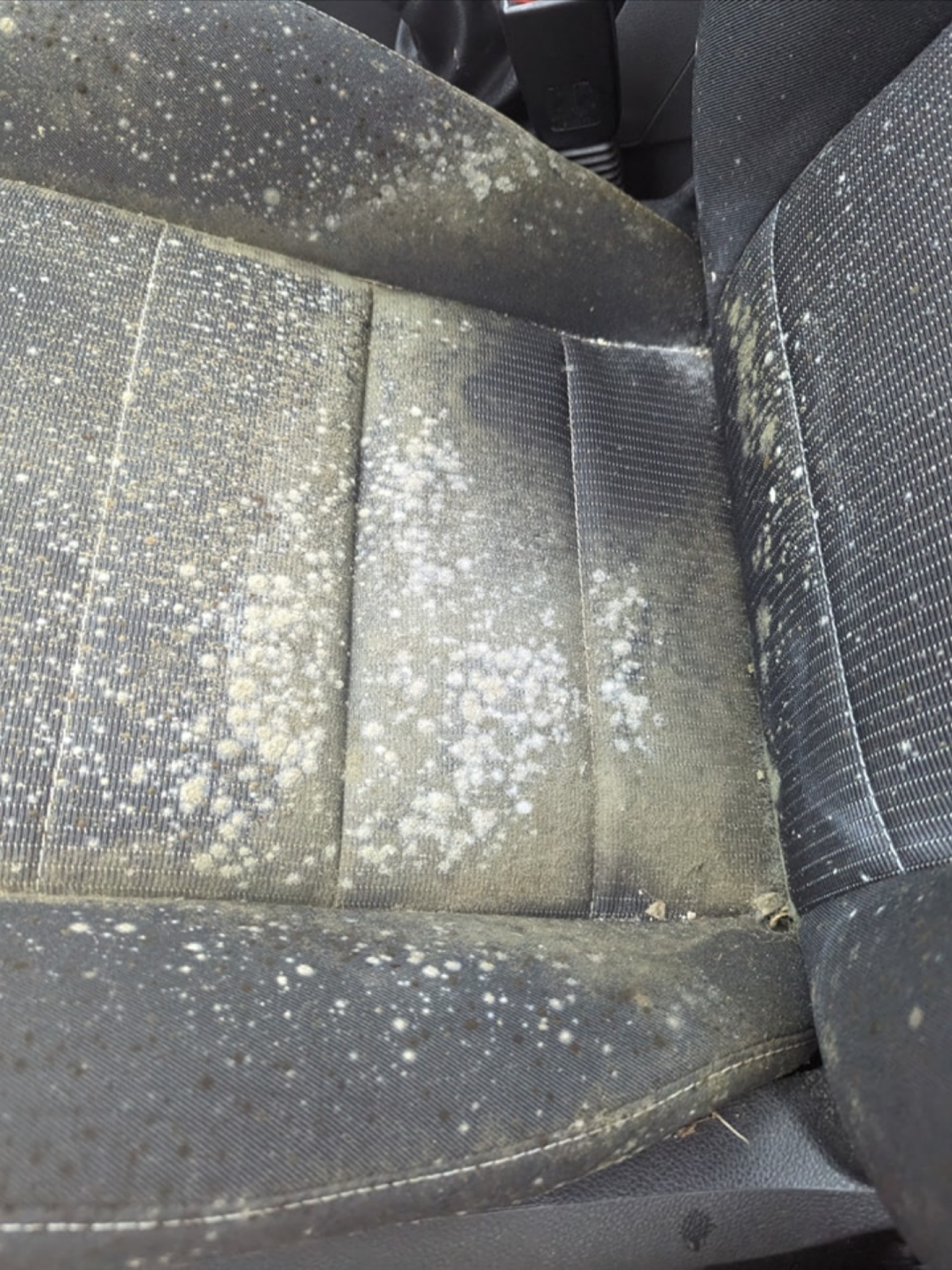 Screenshot_20250304-200154